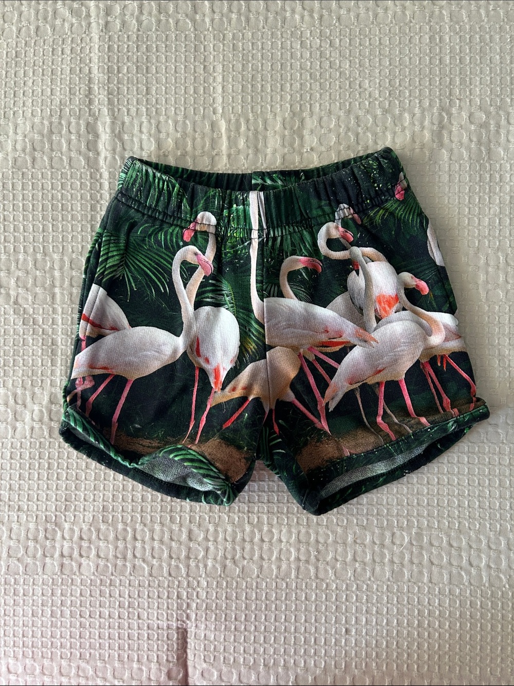 Romey loves Lulu Kids Flamingo Print Shorts - Green & Pink